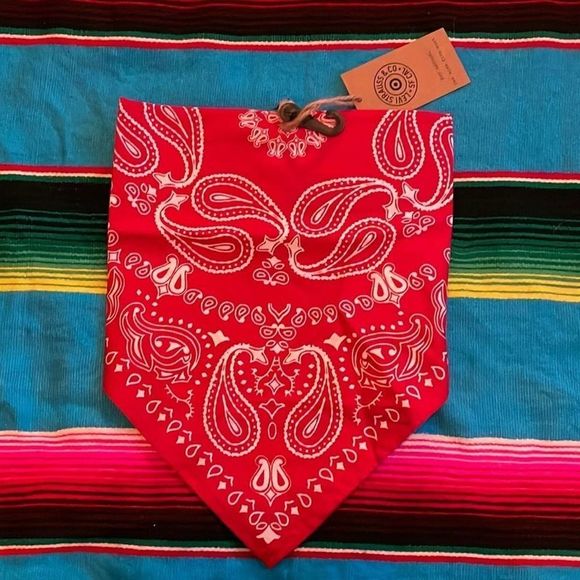 18"x18" Pet Bandana - Picture 1 of 3